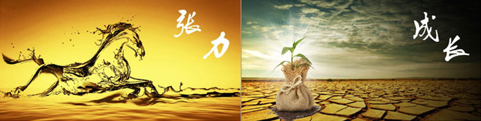 企業發展要學會取他人之長、補自己之短